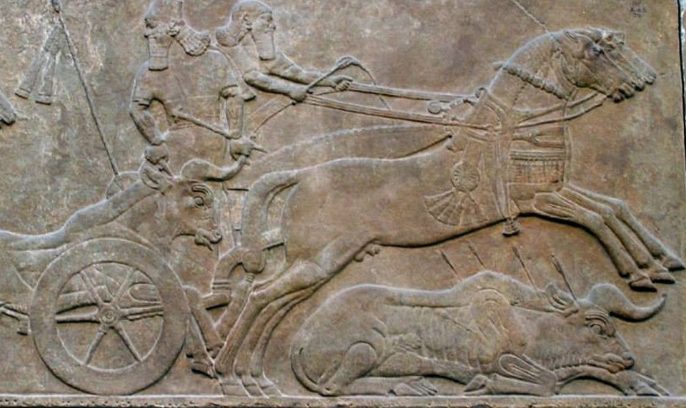 Rydwan króla Persów - płaskorzeźba z VII w. p.n.e. w British Museum. [fot. B.Bezeg]