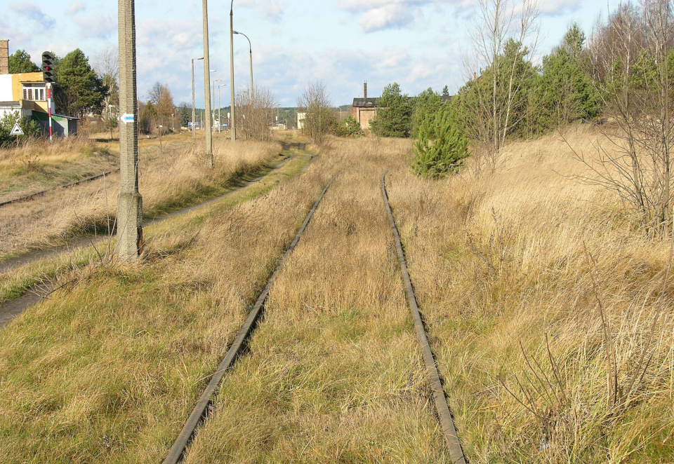 Fragment bocznicy kolejowej wykorzystywanej przez obóz w Bełżcu. [fot. Adrian Grycuk/CC BY-SA 3.0-pl/Wikimedia Commons.]