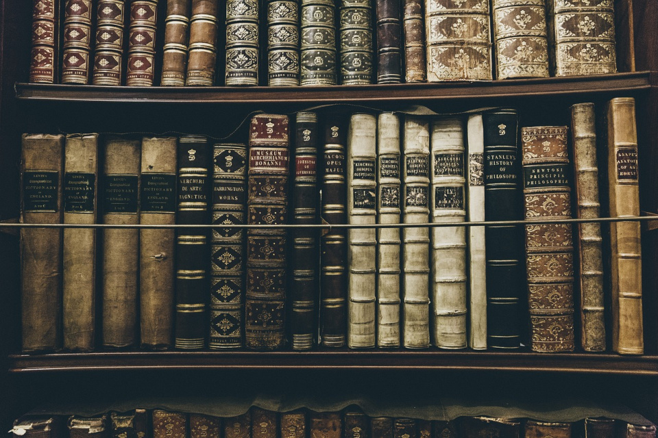 biblioteka, zdjęcie poglądowe [fot. pixabay.com]