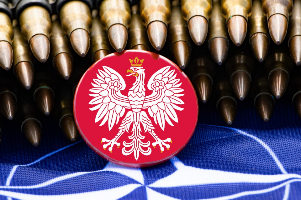 Flaga NATO, polski orzeł [fot. Marek Studzinski/pixabay.com]