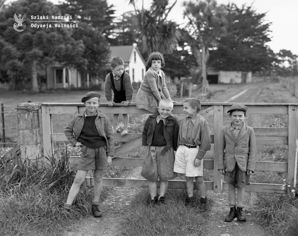 Grupa polskich dzieci obserwujących owce po przybyciu do Nowej Zelandii. 1943 r. (fot. AIPN)