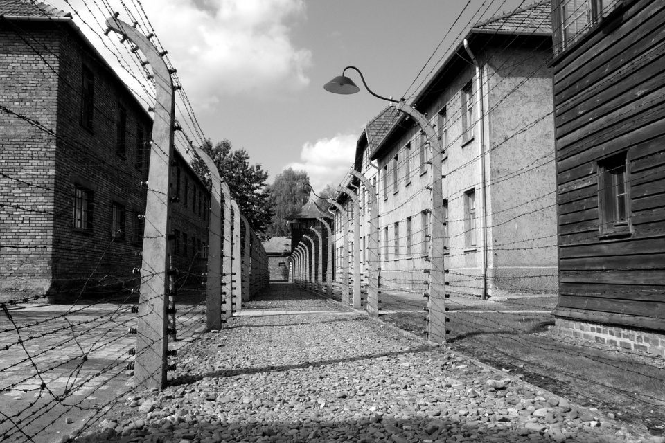 Auschwitz-Birkenau [fot. pixabay]