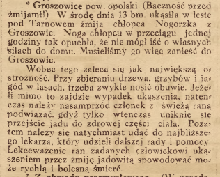 Groszowice (Opole), Nowiny Codzienne (16.08.1919)