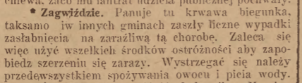 Zagwiździce, Nowiny Codzienne (19.08.1917)