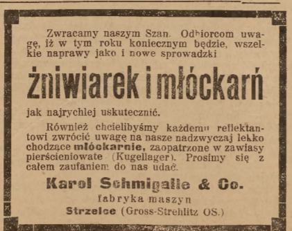 Strzelce, Nowiny Codzienne (25.08.1917)