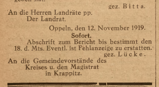 Opole, Nowiny Codzienne cz.2 (22.11.1919)