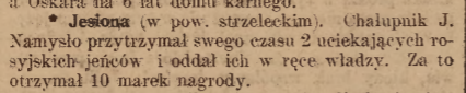 Jesiona, Nowiny Codzienne (13.12.1917)