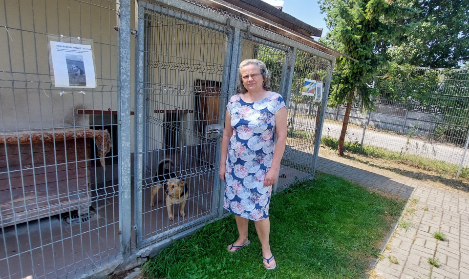 Дорота Скупінська- керівниця міського притулку для бездомних тварин в Ополі (фото Світлани Мех)