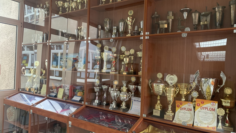 Досягнення та нагороди Державної початкової школи №2 в Ополі (фото з архіву Валентини Гриценко)