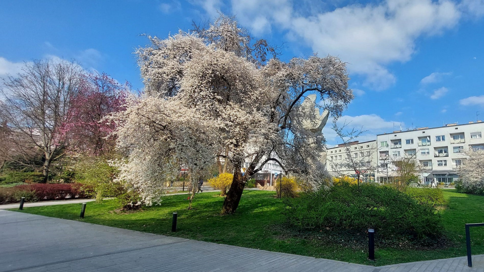 21 березня у Польщі розпочинається календарна весна (фото Світлани Мех)