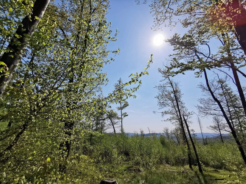 Гори Опавські, туризм на Опольщизні (Фото Олександри Пясти)