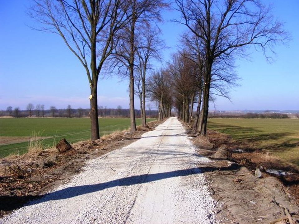 Droga transportu rolnego najpierw jest utwardzana tłuczniem, później wylewana jest nawierzchnia asfaltowa [fot.UM Otmuchów]