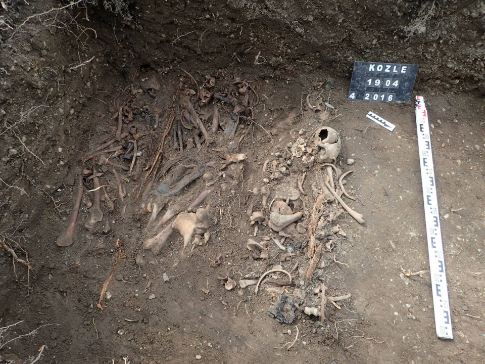 Ekshumacja niemieckich żołnierzy na kozielskim cmentarzu [fot. Pracownia Badań Historycznych i Archeologicznych POMOST]