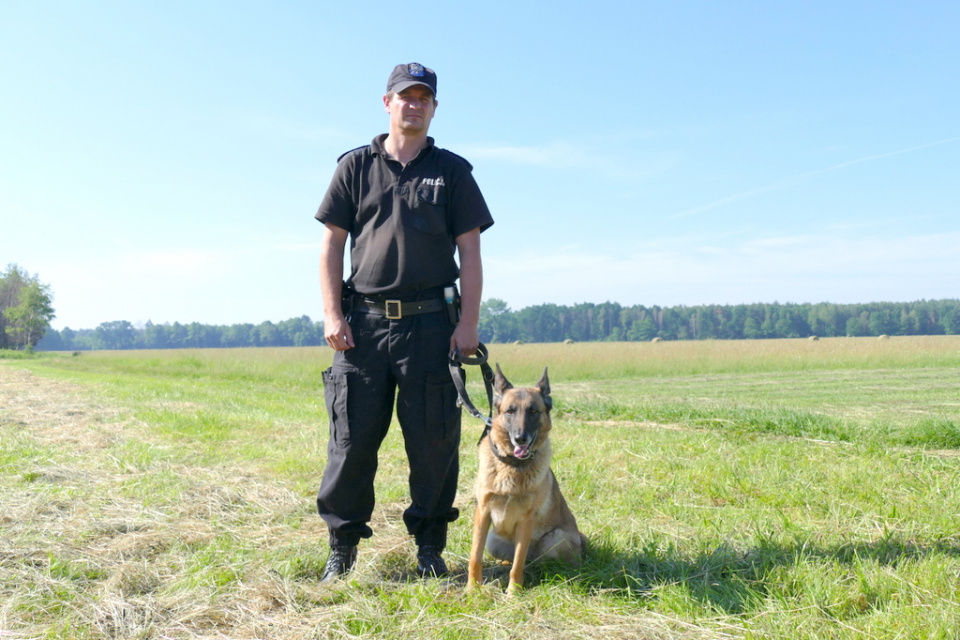 Zawody psów policyjnych w Opolu [fot. Monika Pawłowska]