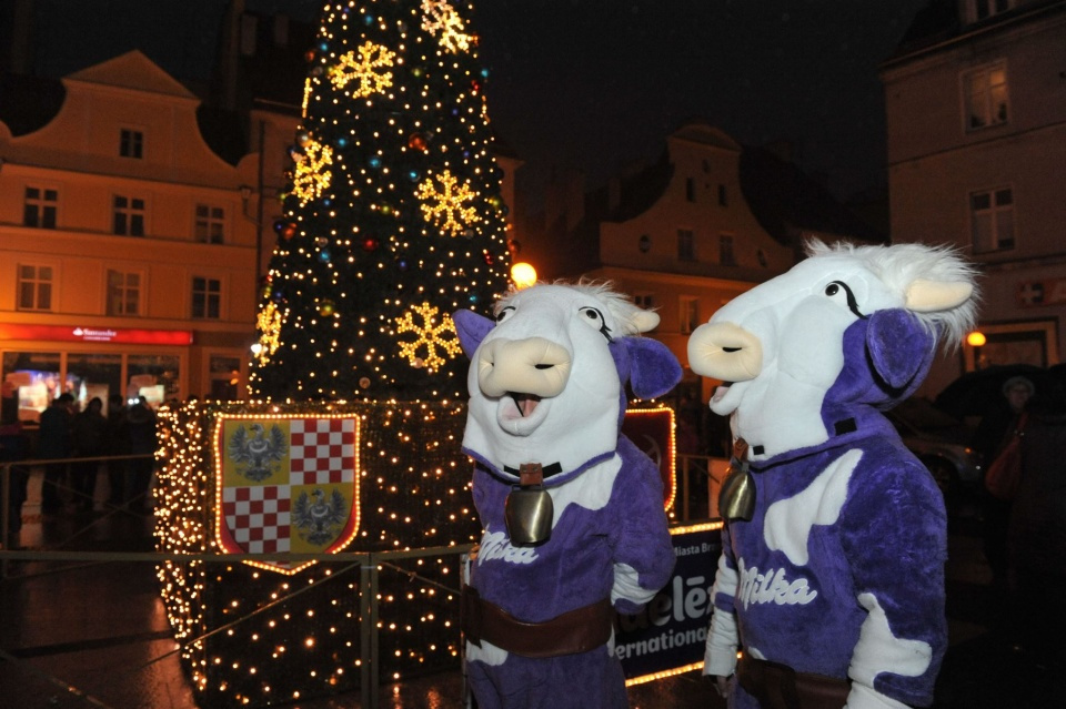 Finał Świątecznej Iluminacji Brzegu odbędzie się w tym roku 3 grudnia na Placu Polonii Amerykańskiej [fot. materiały organizatora]