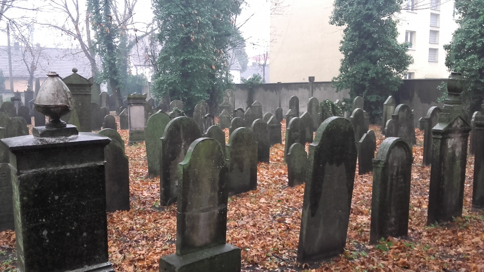 Cmentarz żydowski przy ul. Granicznej w Opolu [fot. Wiktoria Łukowicz]