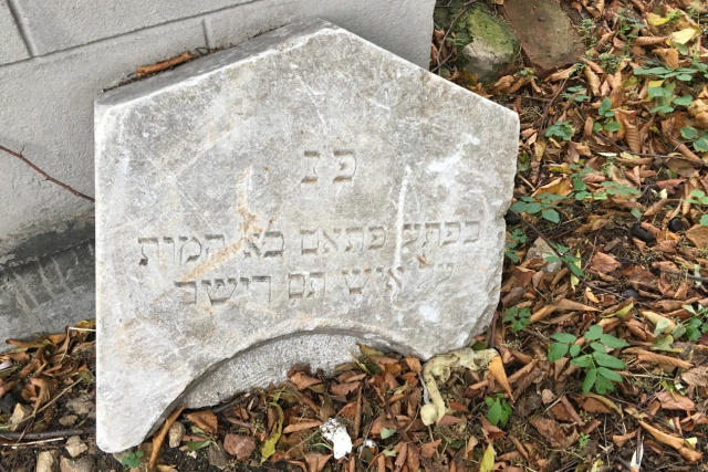 Możesz pomóc posprzątać cmentarz żydowski w Leśnicy
