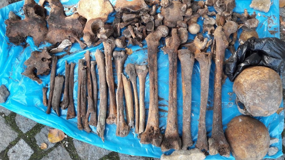 Kości znalezione w Namysłowie [fot. materiały policji]