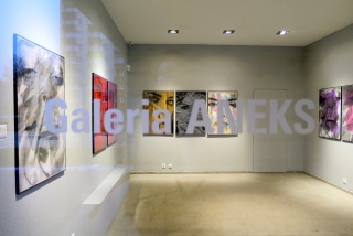 Galeria Aneks GSW [fot. Mariusz Majeran]