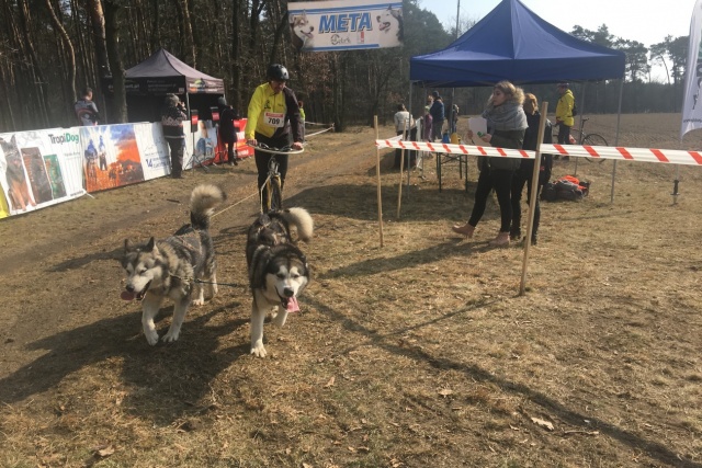 Międzynarodowe zawody psich zaprzęgów po raz 17. w Lubieszowie