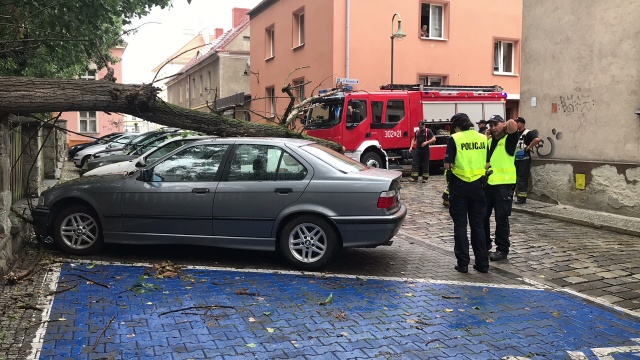 Drzewo uszkodziło dwa samochody w centrum Opola