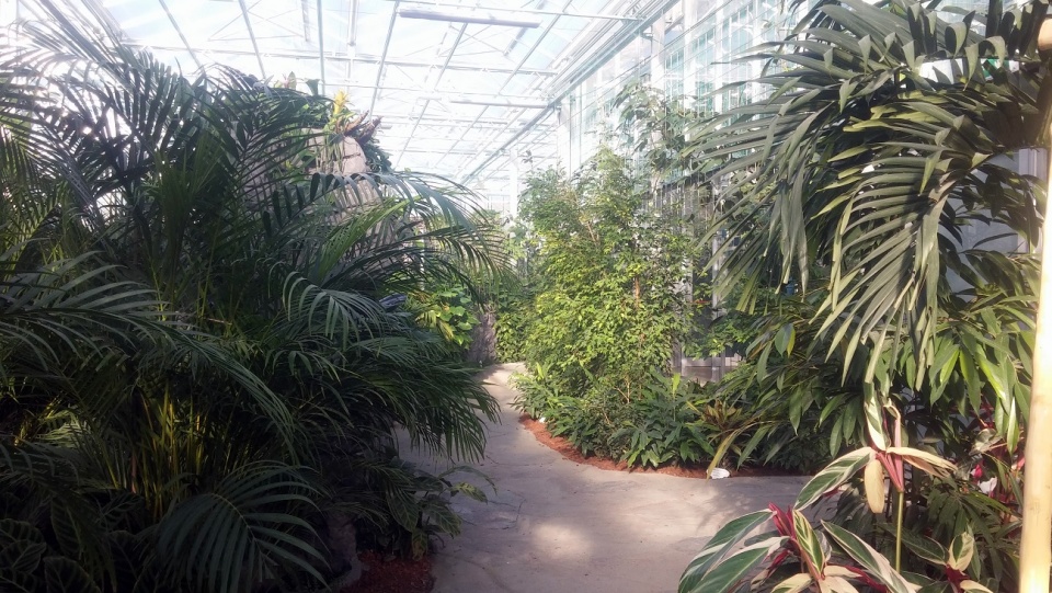 Tropikalna dżungla w Opolu. Nowa atrakcja w ogrodzie zoologicznym [fot. Wiktoria Palarczyk]