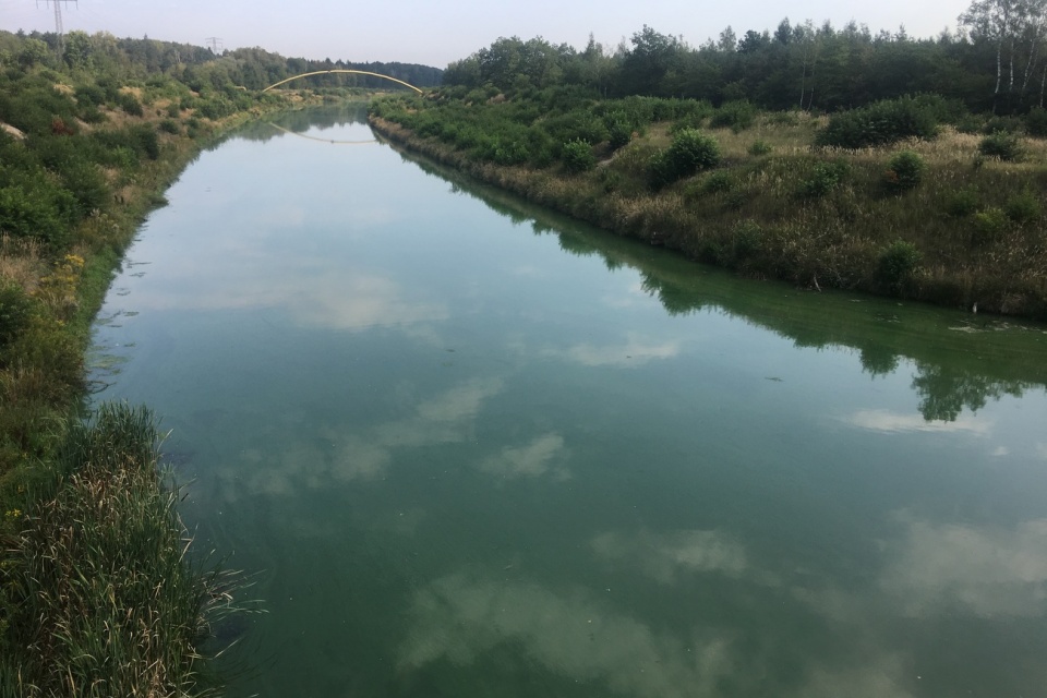 Zielona woda w Kanale Kędzierzyńskim [fot. Agnieszka Pospiszyl]
