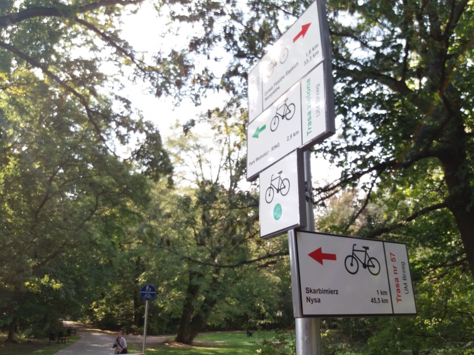 Park Wolności w Brzegu odzyskał dawny blask [fot. Maciej Stępień]