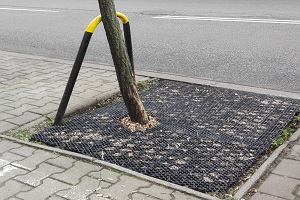 Ten pomysł ma uchronić drzewa przed solą drogową. Opolanie stworzyli specjalną matę
