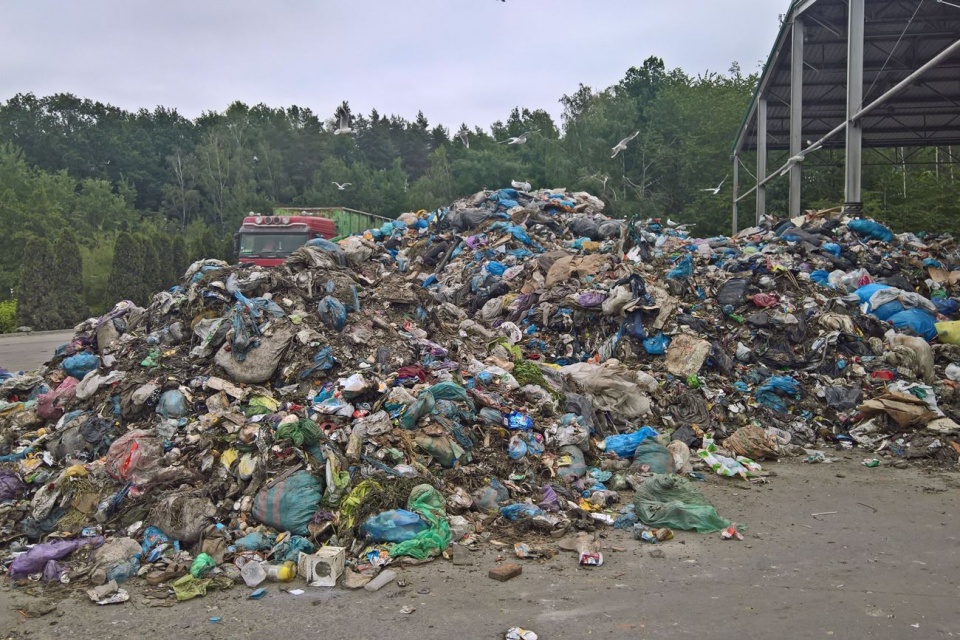 Śmieci na składowisku w Domaszkowicach [fot. Daniel Klimczak]