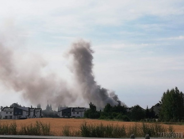 Pożar zakładów drobiarskich w Opolu