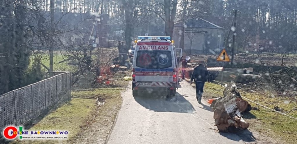 Wypadek podczas wycinki drzew [fot. kluczbork 112, ratownictwo.opole.pl]