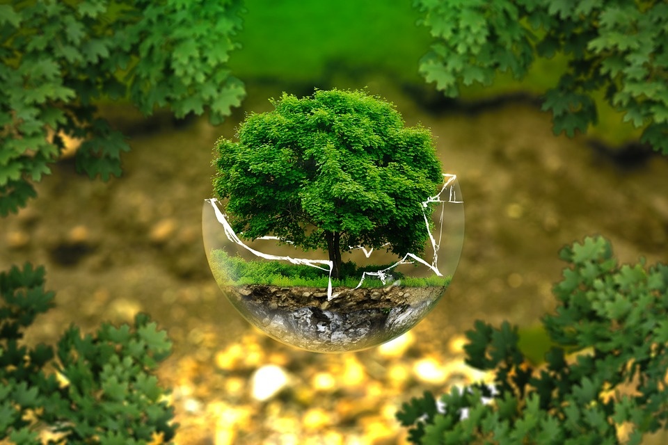 Odwiedź w niedzielę „Miasteczko ekologiczne” w Opolu [fot. https://pixabay.com/pl]