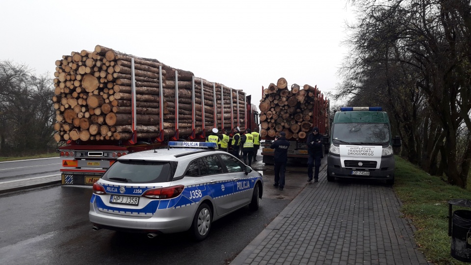 Transport drewna na opolskich drogach skontrolowała podczas wspólnej akcji policja, Inspekcja Transportu Drogowego oraz Straż Leśna [zdj. ITD Opole]