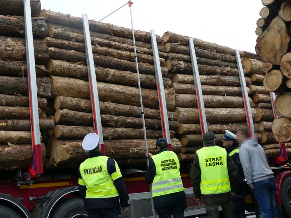 Transport drewna pod lupą opolskich służb: policji, ITD i Straży Leśnej [zdj. policja]