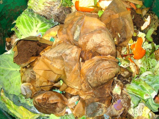 Gogolin: kompostuj odpady zielone, mniej zapłacisz za śmieci
