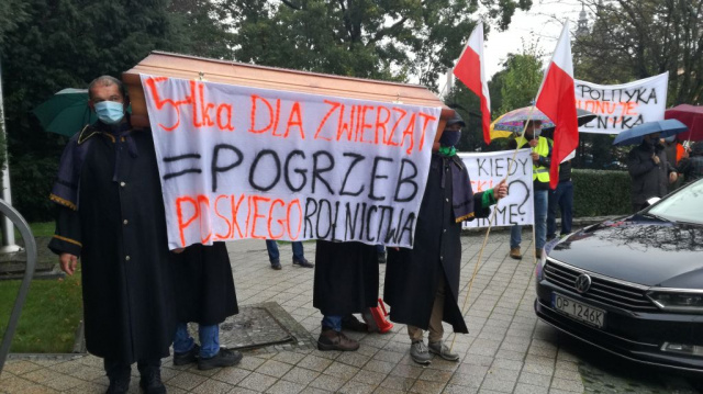 Pikieta opolskich rolników przed urzędem wojewódzkim. Protestowali przeciwko Piątce dla zwierząt