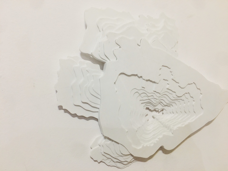 Trójwymiarowe obrazy i torebki z plastiku, czyli efekt eksperymentów z drukiem 3D [fot. Wiktoria Palarczyk]