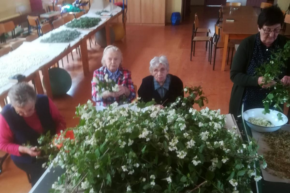 Zbieranie kwiatów i ziół przez mieszkanki Rozmierzy [fot. archiwum prywatne]