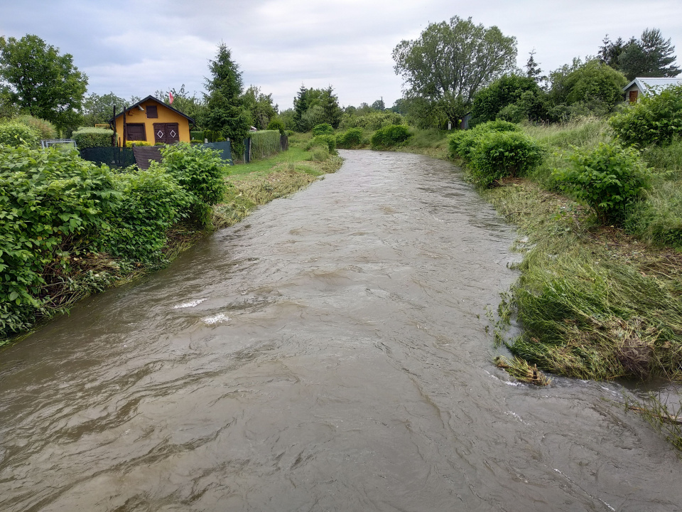 Opada woda w Złotym Potoku, w gminie Prudnik [zdj. Jan Poniatyszyn]