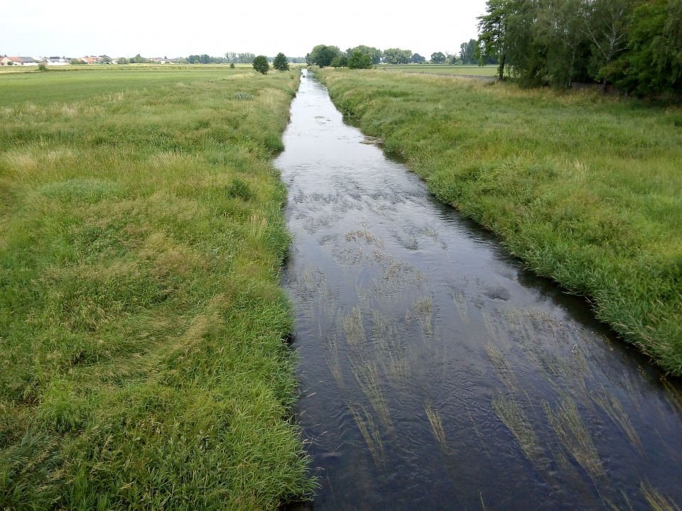 Modernizacja oczyszczalni ścieków w Głogówku poprawi też stopień czystości wody w Osobłodze [zdj. Jan Poniatyszyn]