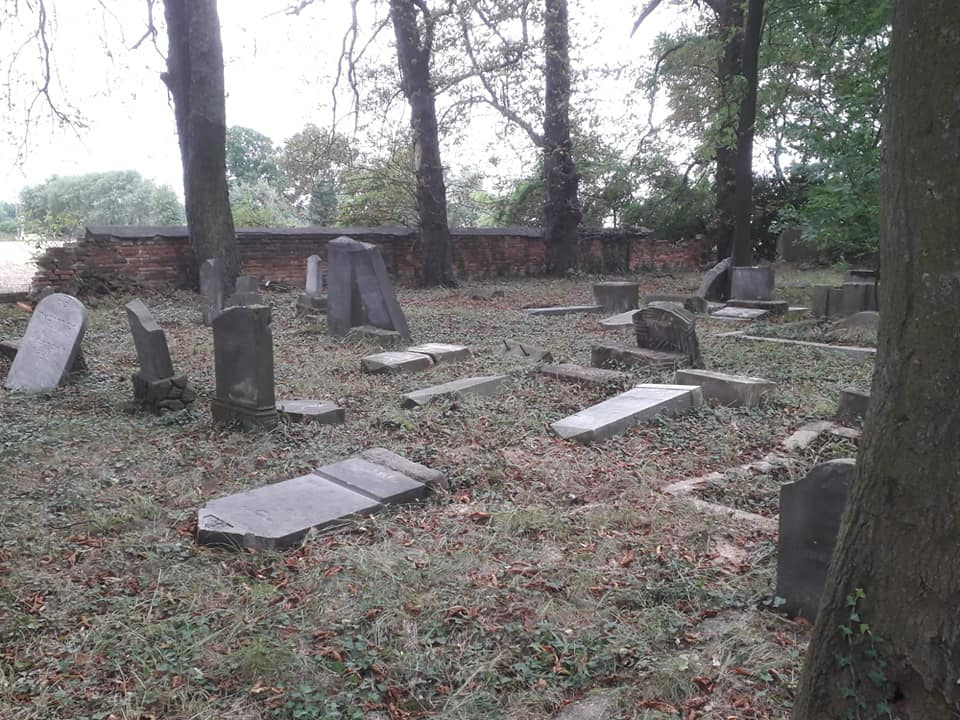 Zniszczone macewy na cmentarzu żydowskim w Dobrodzieniu [fot. www.facebook.com/Muzeum Regionalne w Dobrodzieniu]