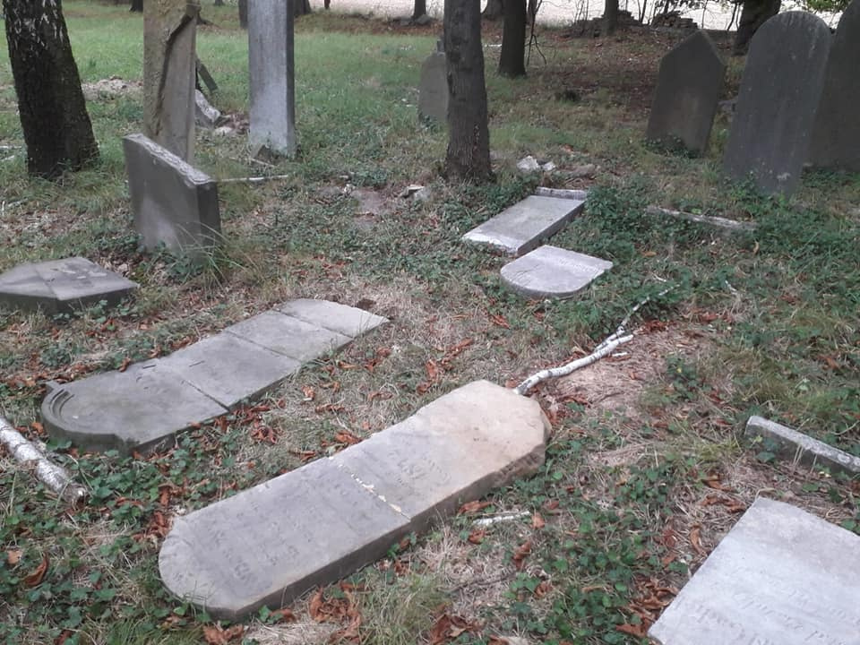 Zniszczone macewy na cmentarzu żydowskim w Dobrodzieniu [fot. www.facebook.com/Muzeum Regionalne w Dobrodzieniu]