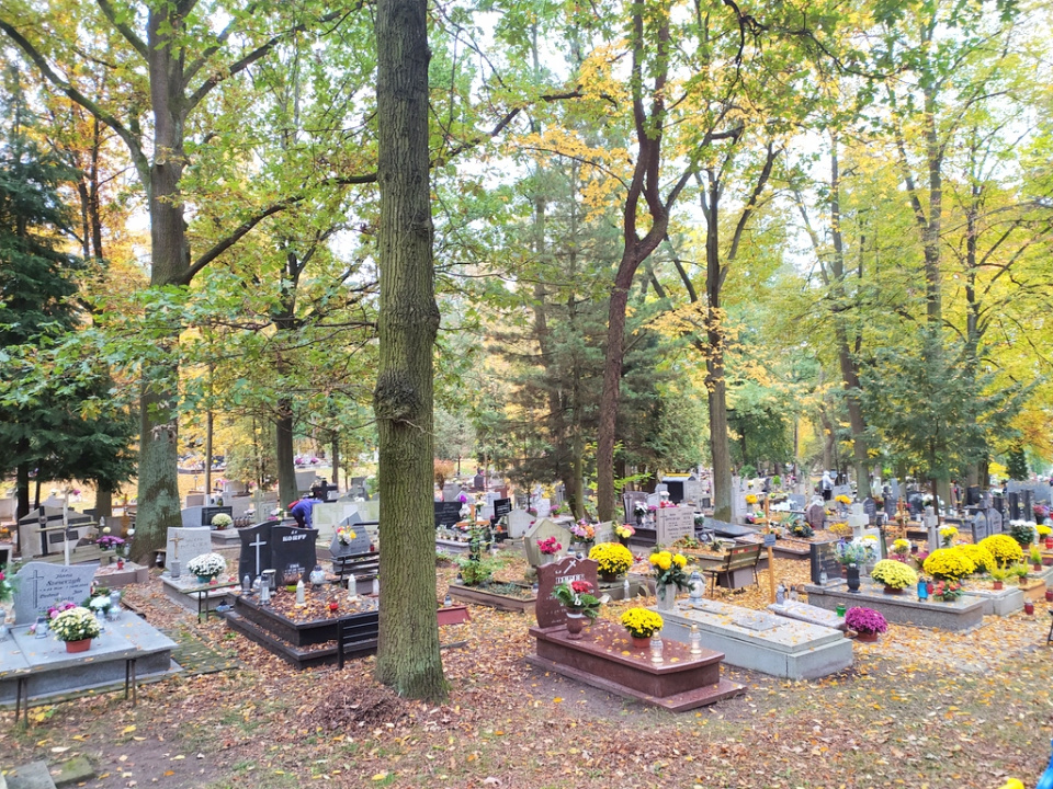 Cmentarz na Półwsi w Opolu [fot. Witold Wośtak]