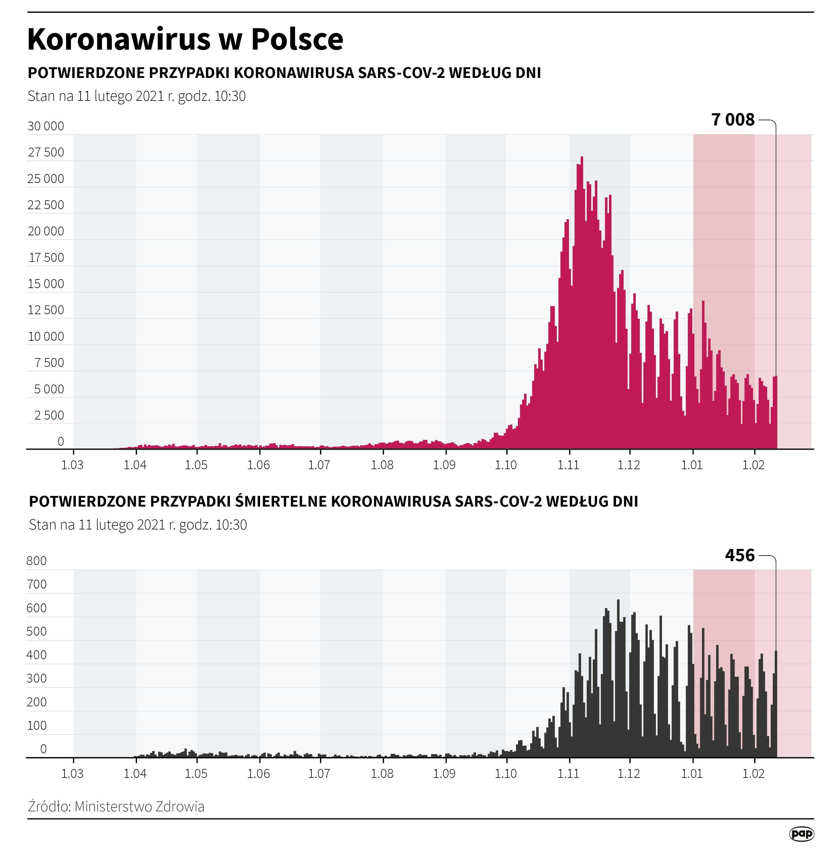 Infografika 'Koronawirus w Polsce stan na 11.02.2021' [autor: Maciej Zieliński, źródło: PAP]