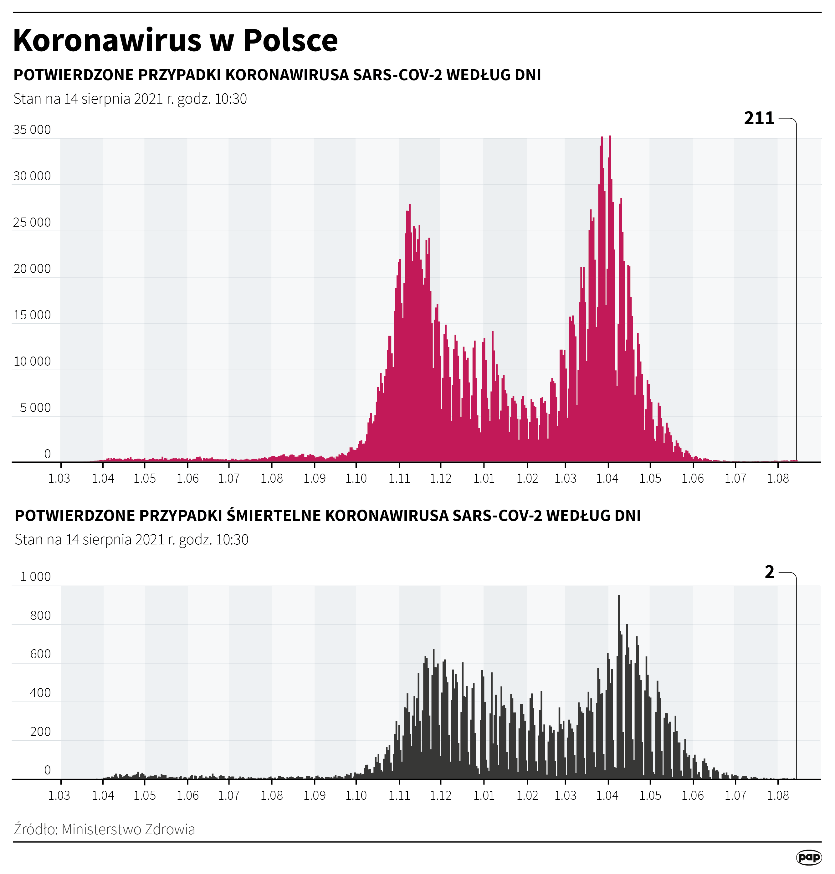 Koronawirus w Polsce - stan na 14 sierpnia [rys. Adam Ziemienowicz / PAP]