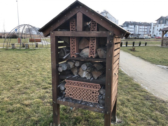 Opole: owady, jeże i ptaki otrzymają nowe domki