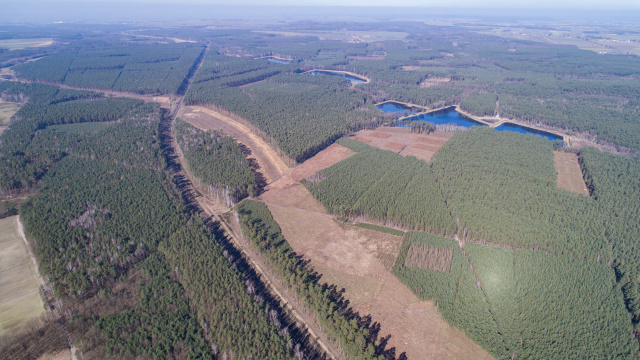Nie ma już 98 hektarów lasu w okolicy Olesna. Drzewa trzeba było wyciąć ze względu na budowę obwodnicy