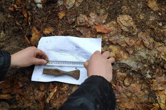 W lesie koło Pokrzywnicy znaleźli toporek z brązu, ma ok. 3 tysięcy lat [ZDJĘCIA]