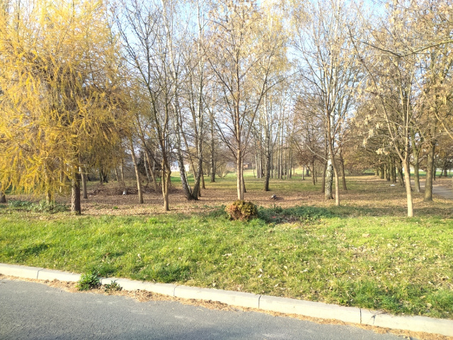 Nowy park w Praszce może być skromniejszy. Przygotowanie terenu potrwa ponad rok